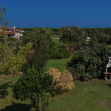 Resort,